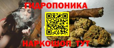 СК Татарск
