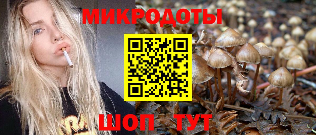 что такое наркотик  Вход с VPN  Псилоцибиновые грибы Psilocybine cubensis  Ирбит  Галлюциногенные грибы MAGIC MUSHROOMS 